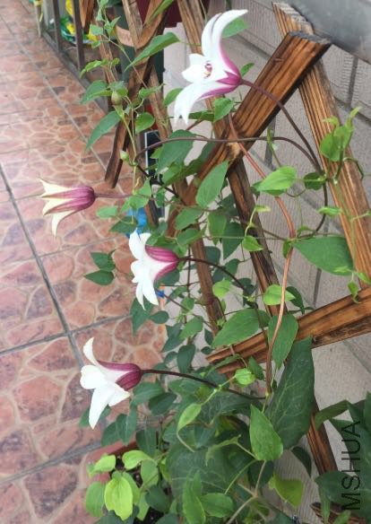 �������������˺ܰ���Ʒ�֣������ͣ���ϧ���޶�û�ȹ���~