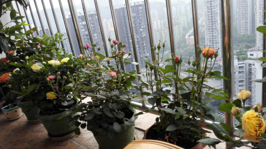 ΢��ͼƬ_20180412074219.jpg