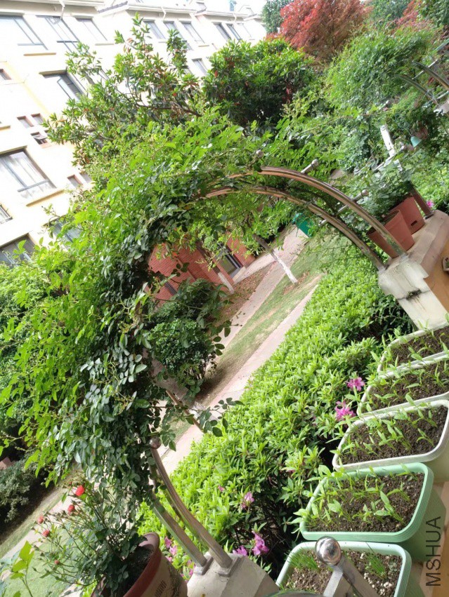 psb (32).jpg