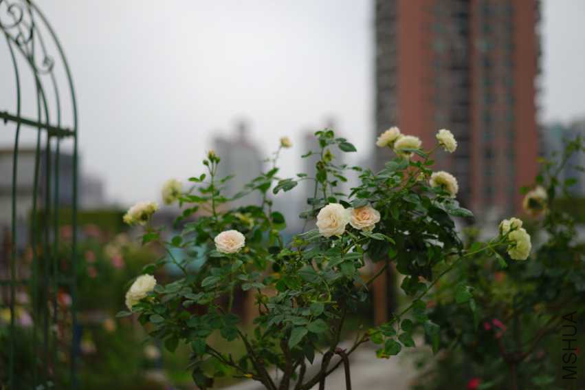 AC5CB342-5D00-4370-8011-DD577A6B2AD2.jpeg