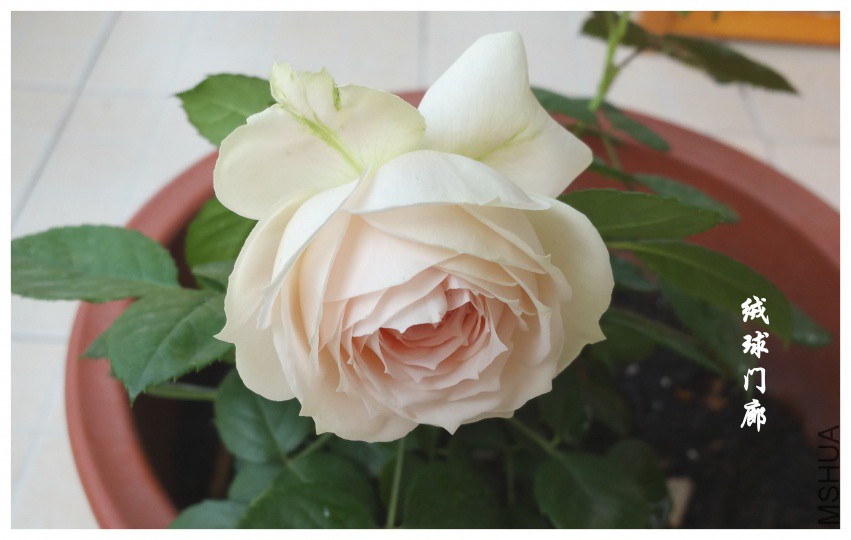 20180413_090705.jpg