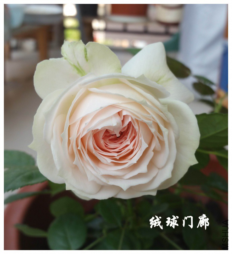 20180413_090719.jpg
