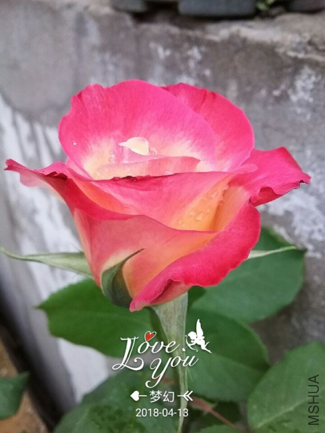 QQͼƬ20180413093151.jpg