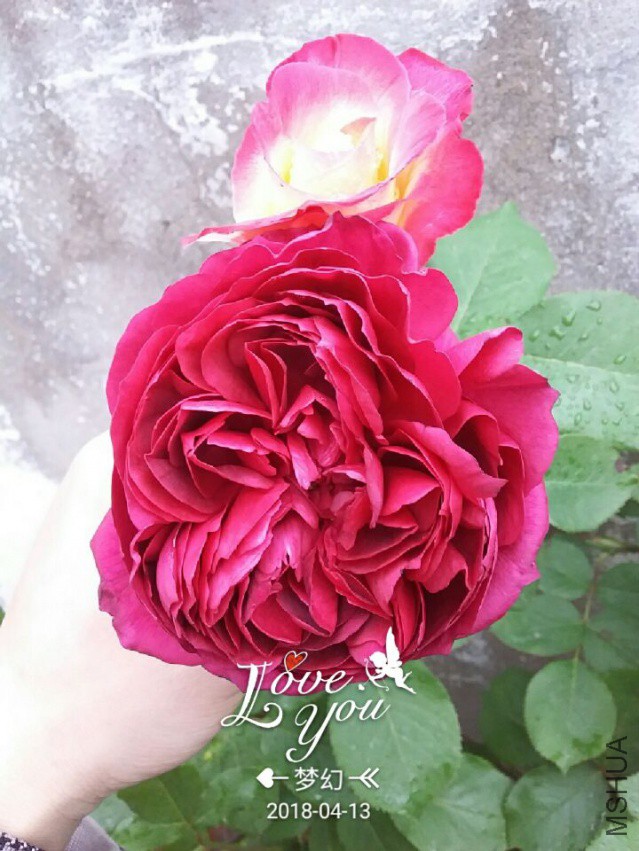 QQͼƬ20180413093159.jpg