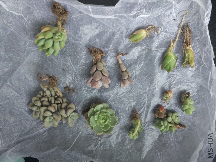 QQͼƬ20180413103530.jpg