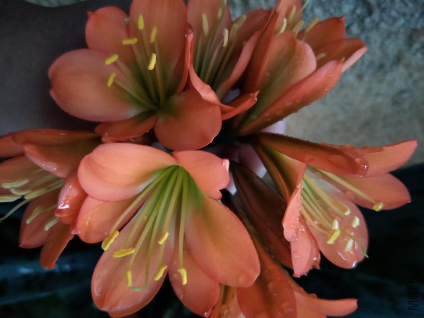 IMG20180413173937.jpg