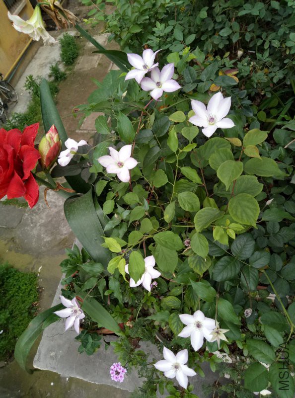P80413-070216.jpg