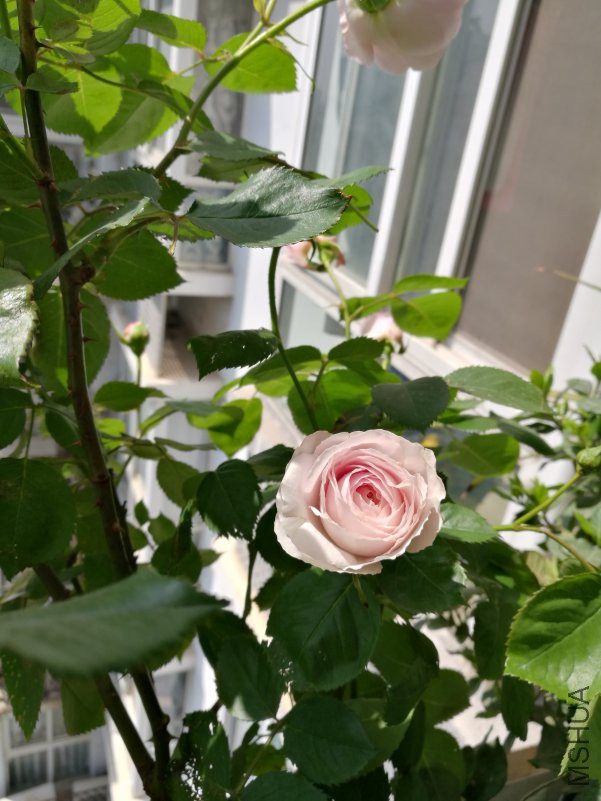 QQͼƬ20180415150014.jpg