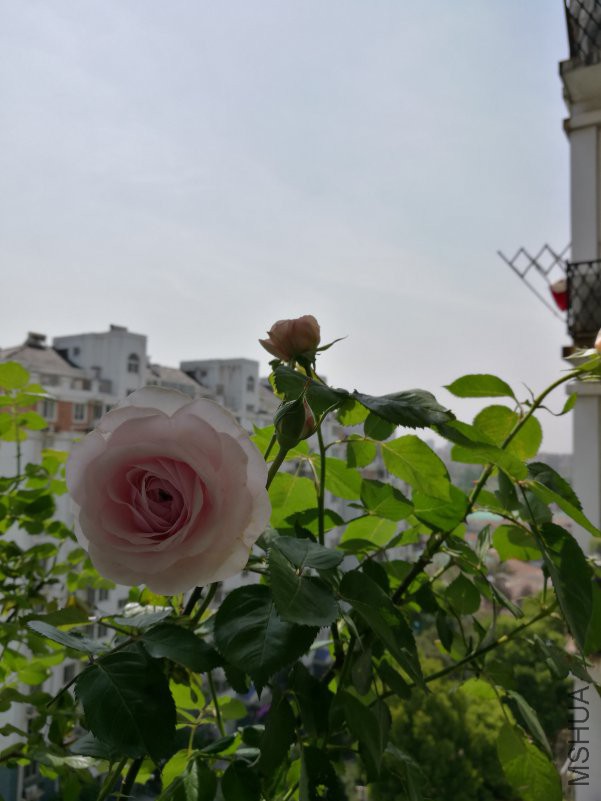 QQͼƬ20180415150021.jpg