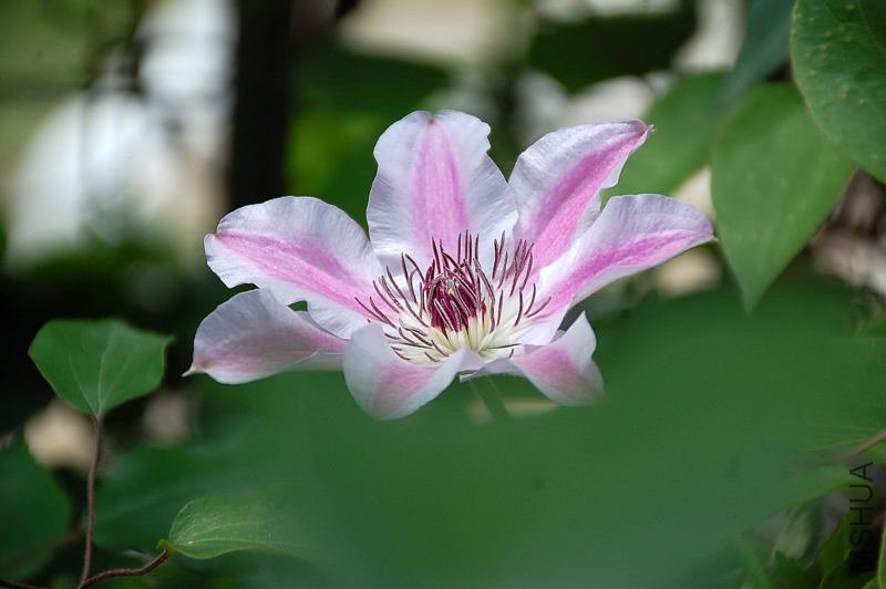 DSC_60340012.JPG
