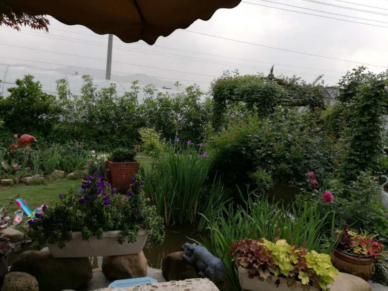 0_-97745ca49421064.jpg