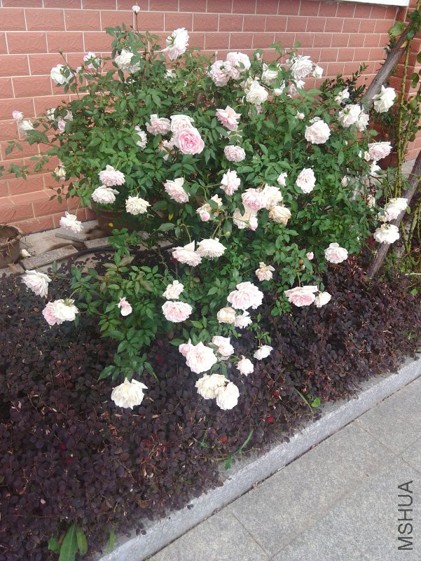 ������һ���ļ���������