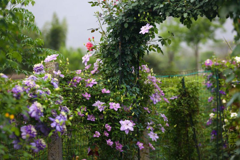 6d430aace6bcd536.jpg
