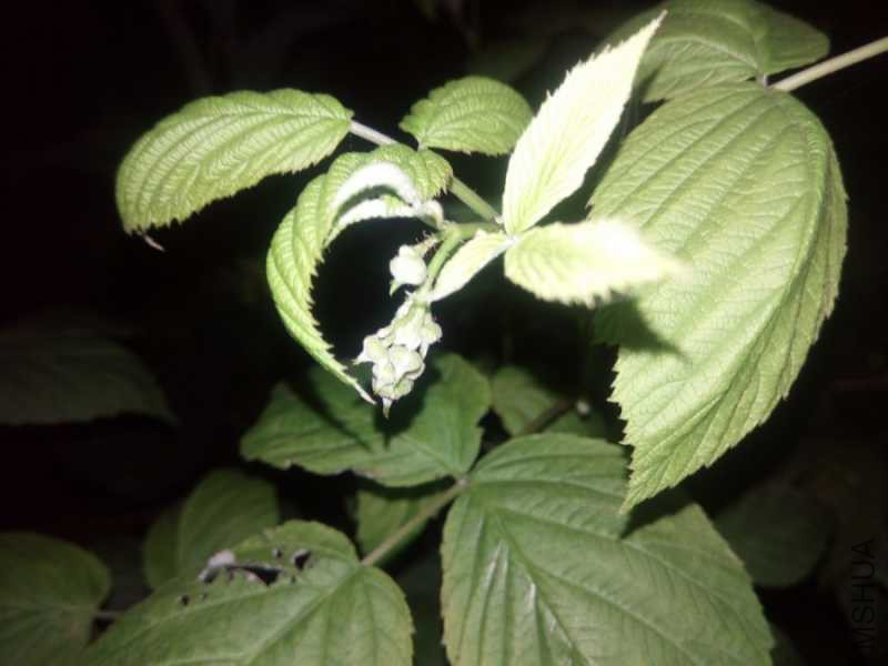 IMG_20180416_192305.jpg
