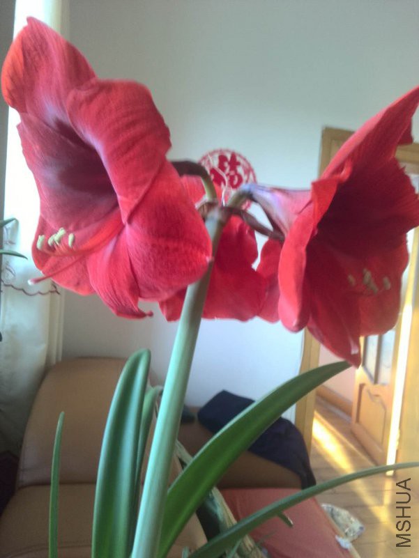 ΢��ͼƬ_20180417000942.jpg