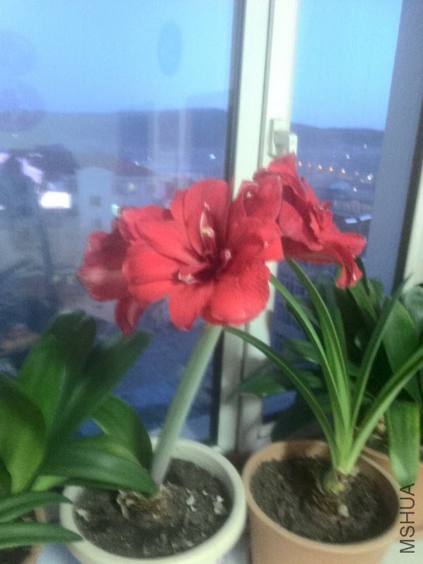 ΢��ͼƬ_20180417000950.jpg