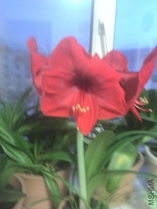 ΢��ͼƬ_20180417001020.jpg
