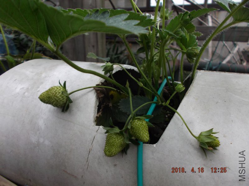 2018-4-16jxxw 036����.jpg