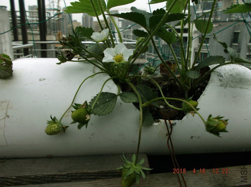 2018-4-16jxxw 023����.jpg