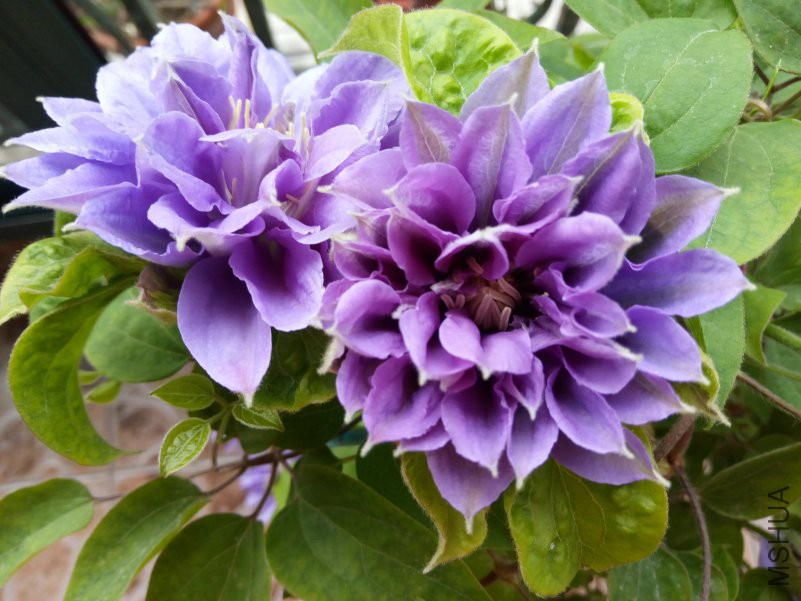 �ҿ�ȥ�����ǩ��