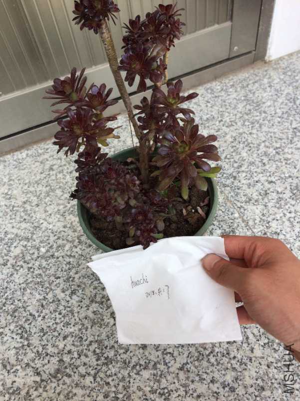 IMG_3122.JPG