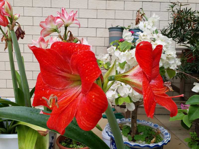 20180415_152819.jpg