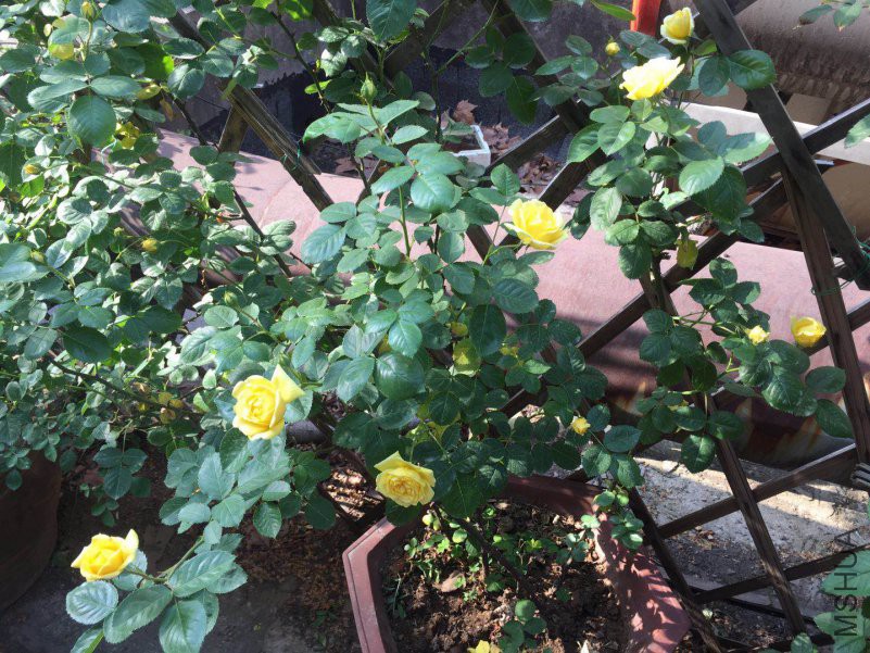 ΢��ͼƬ_20180417144611.jpg