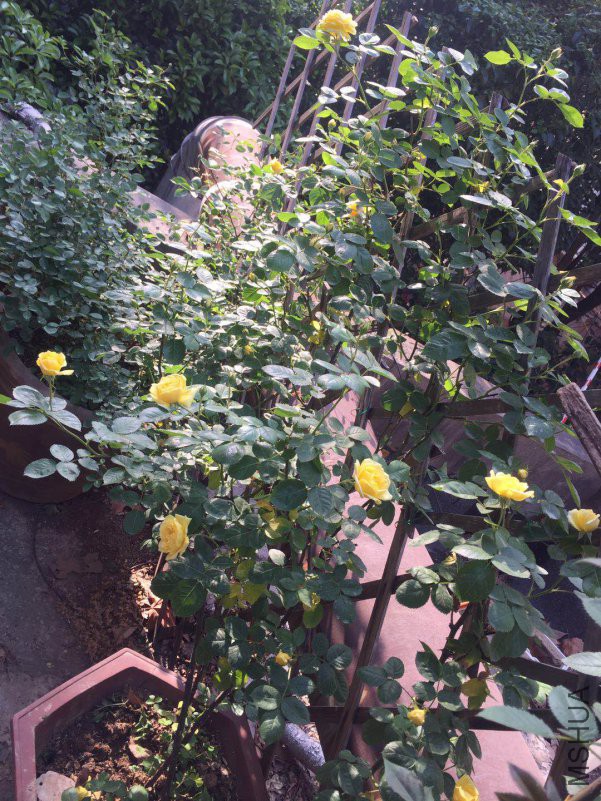 ΢��ͼƬ_20180417144634.jpg