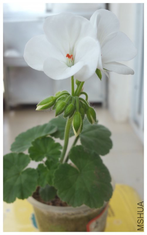 20180417_160028.jpg