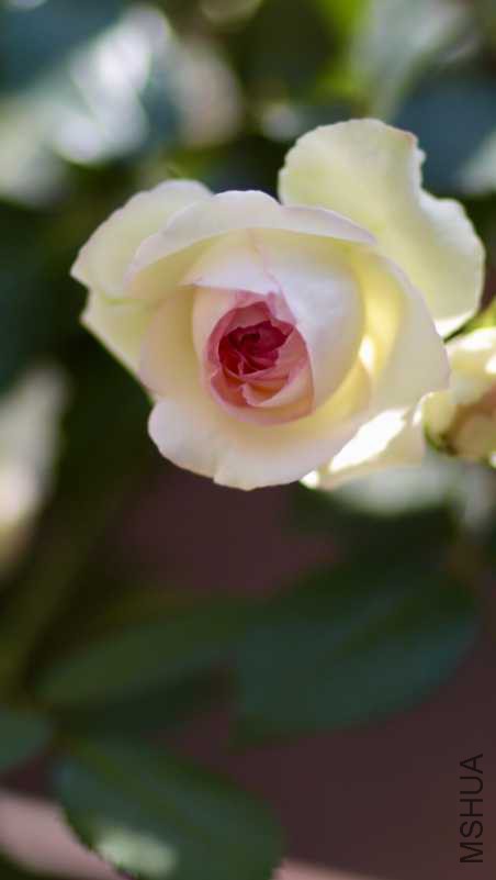 4E5BC8A3-C51B-4B44-AEB1-FC7FD1C56909.jpeg