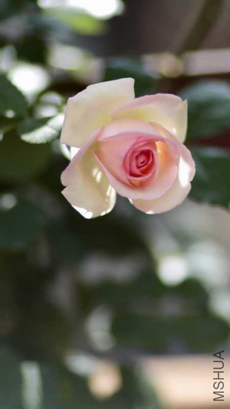 608951A5-0891-428C-9EC9-8D85D294EA28.jpeg