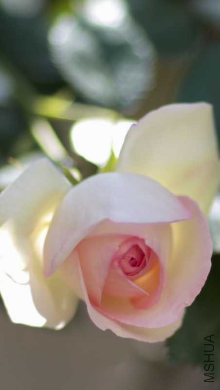 BBFD77CF-FD86-4DDE-8754-09BB507937C4.jpeg