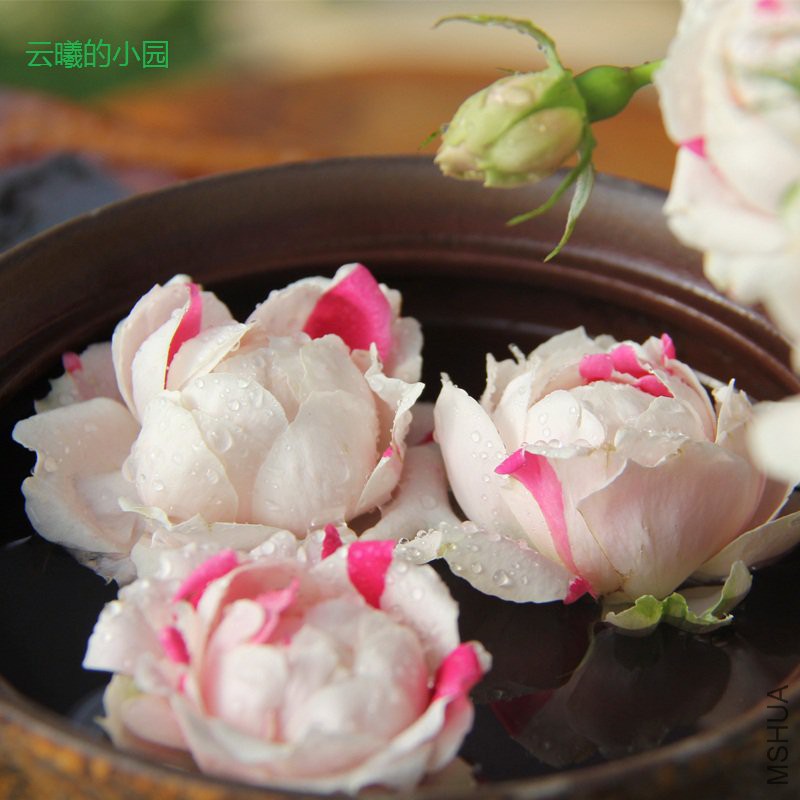 ���Ҳ�ݮ����5.jpg