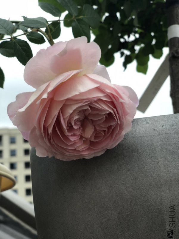 �������0414a.jpg