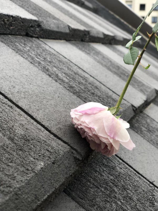 �������0414c.jpg