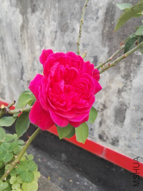 P80412-081835.jpg