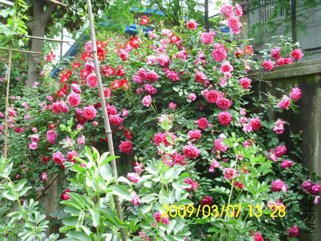IMG_0037.JPG