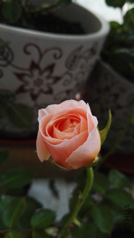 ΢��ͼƬ_20180418182635.jpg