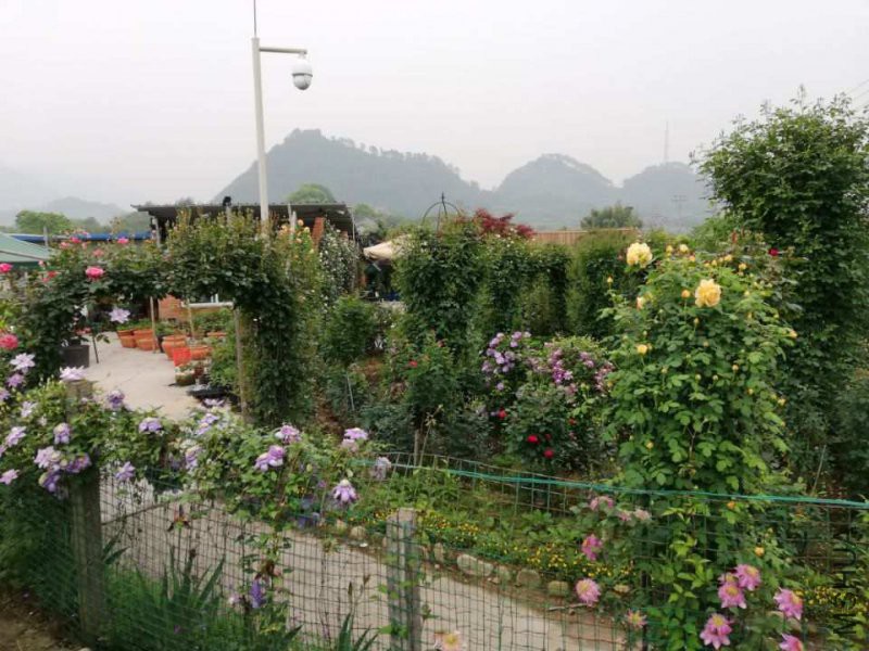 0_68ab245315674679.jpg