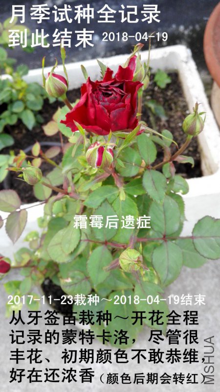 06.jpg