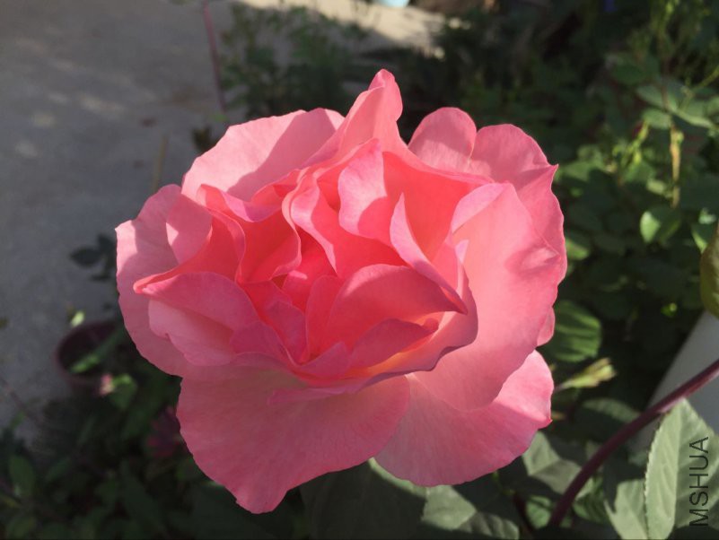 ���Ӳ��ֳ������¼����ɲ�֪����ʲô