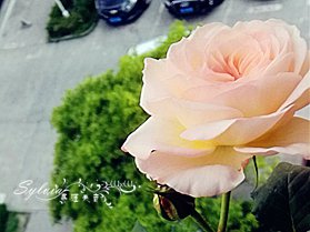 IMG_20170501_092147_����.jpg