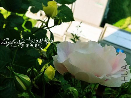 IMG_20170501_092135_����.jpg