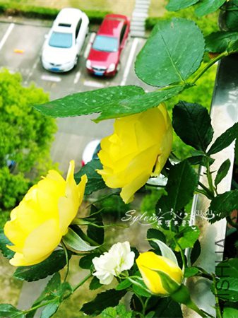 IMG_20170504_162824_����.jpg