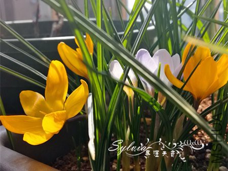 IMG_20180226_133707_����.jpg