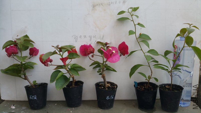 20180418_140728.jpg
