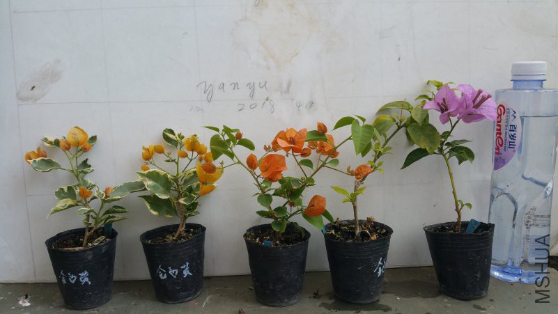 20180418_140933.jpg