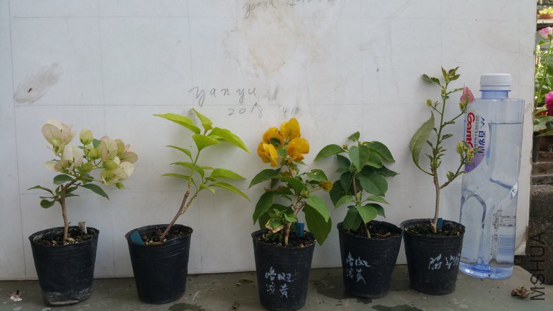 20180418_141112.jpg