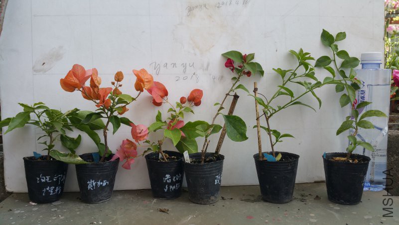 20180418_141324.jpg