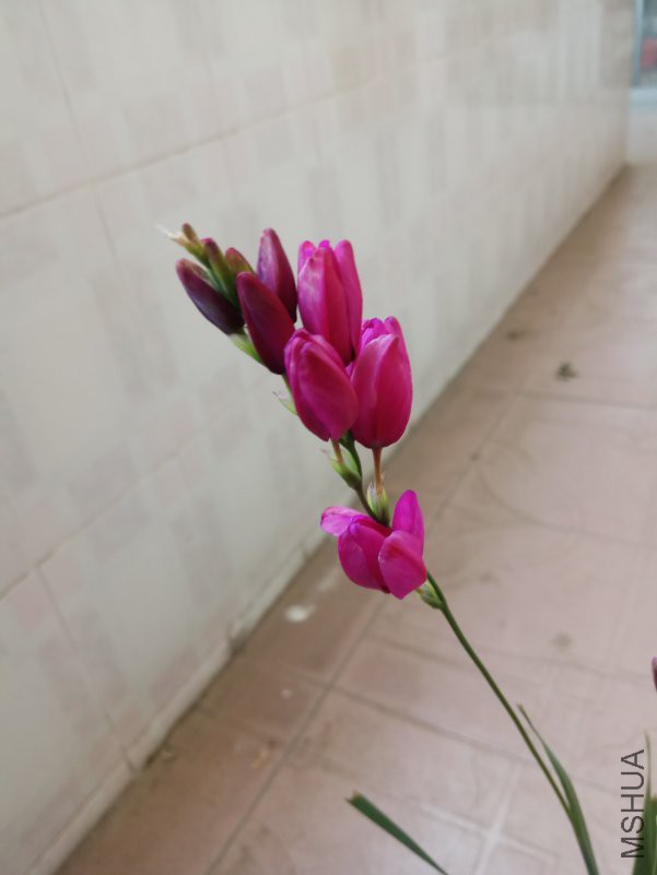 IMG_20180416_172600.jpg